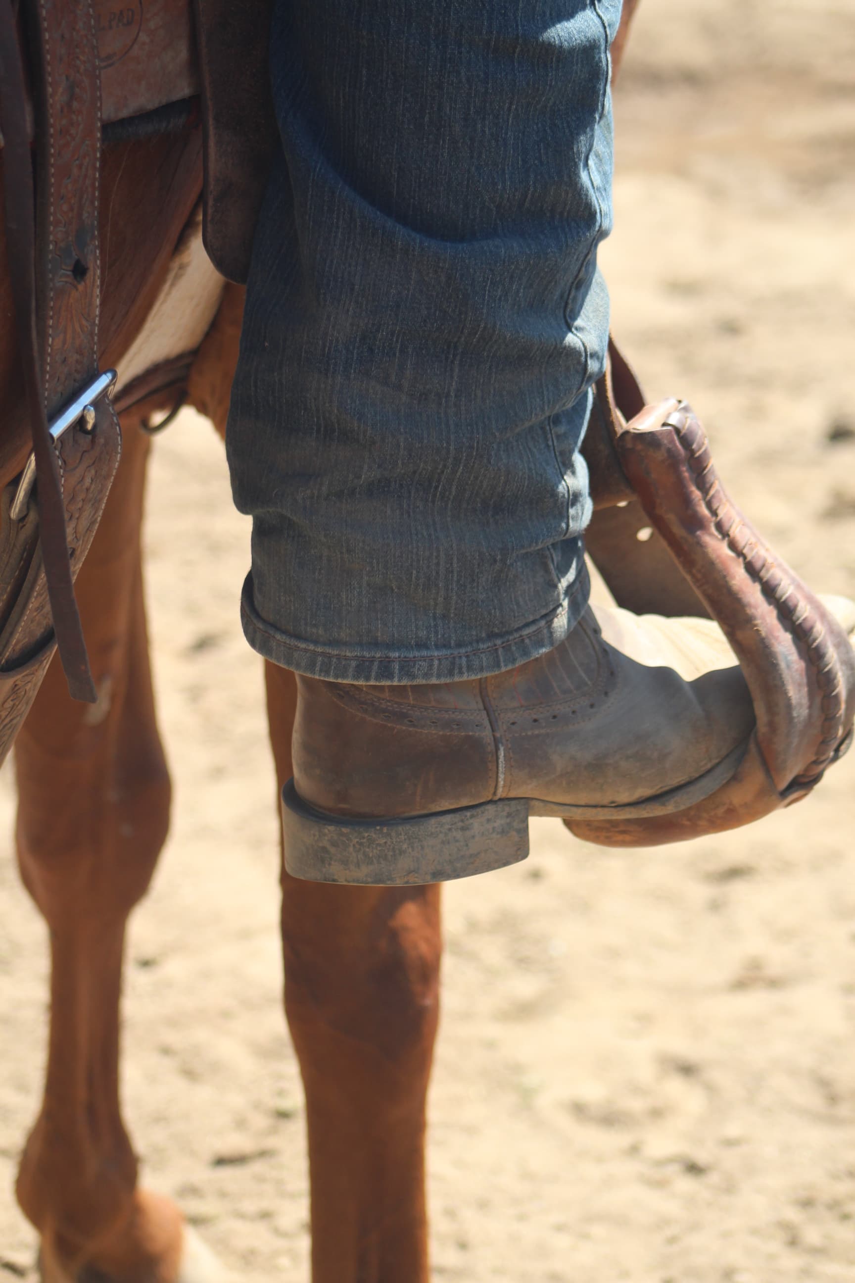 Equine work detail