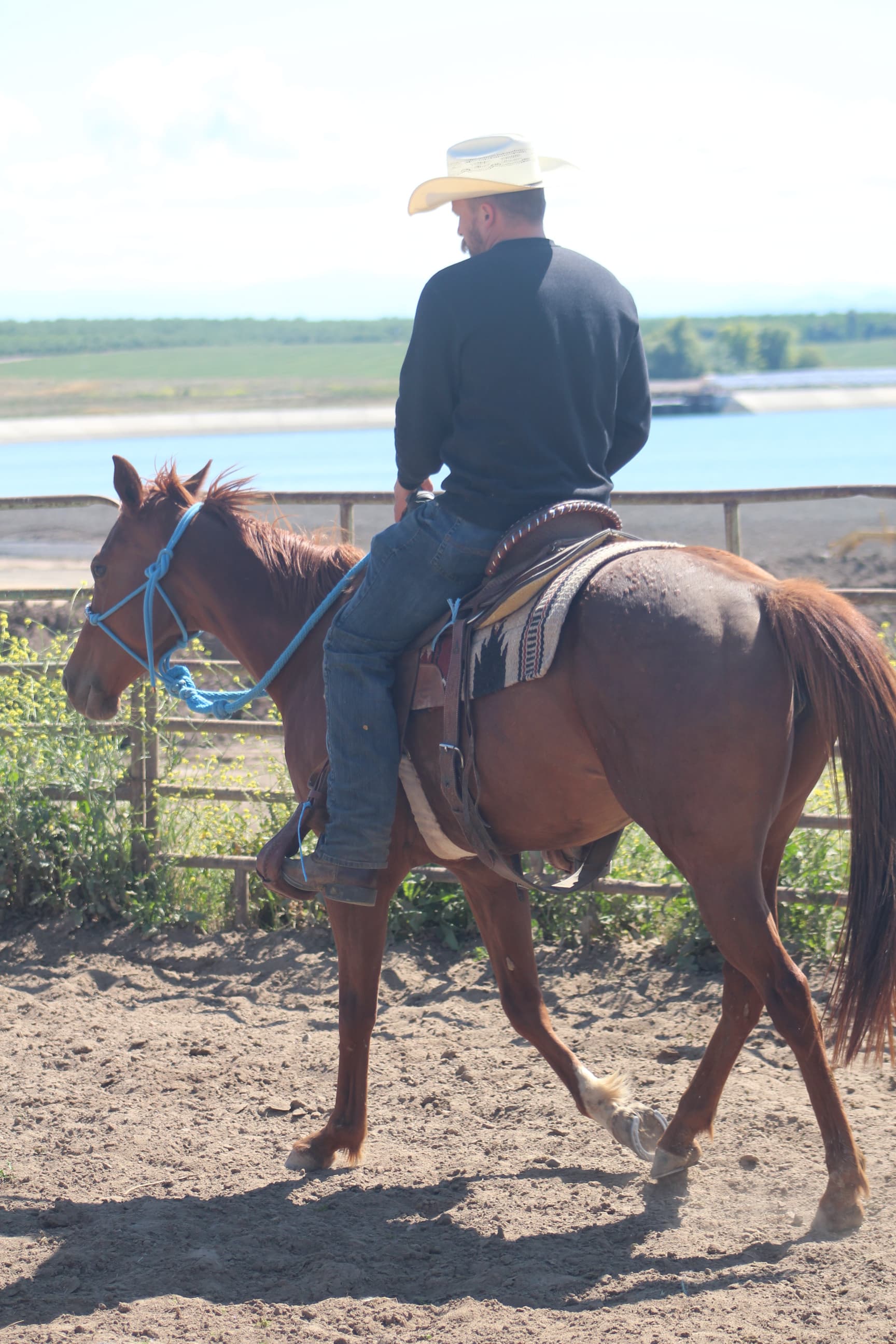 Equine work detail