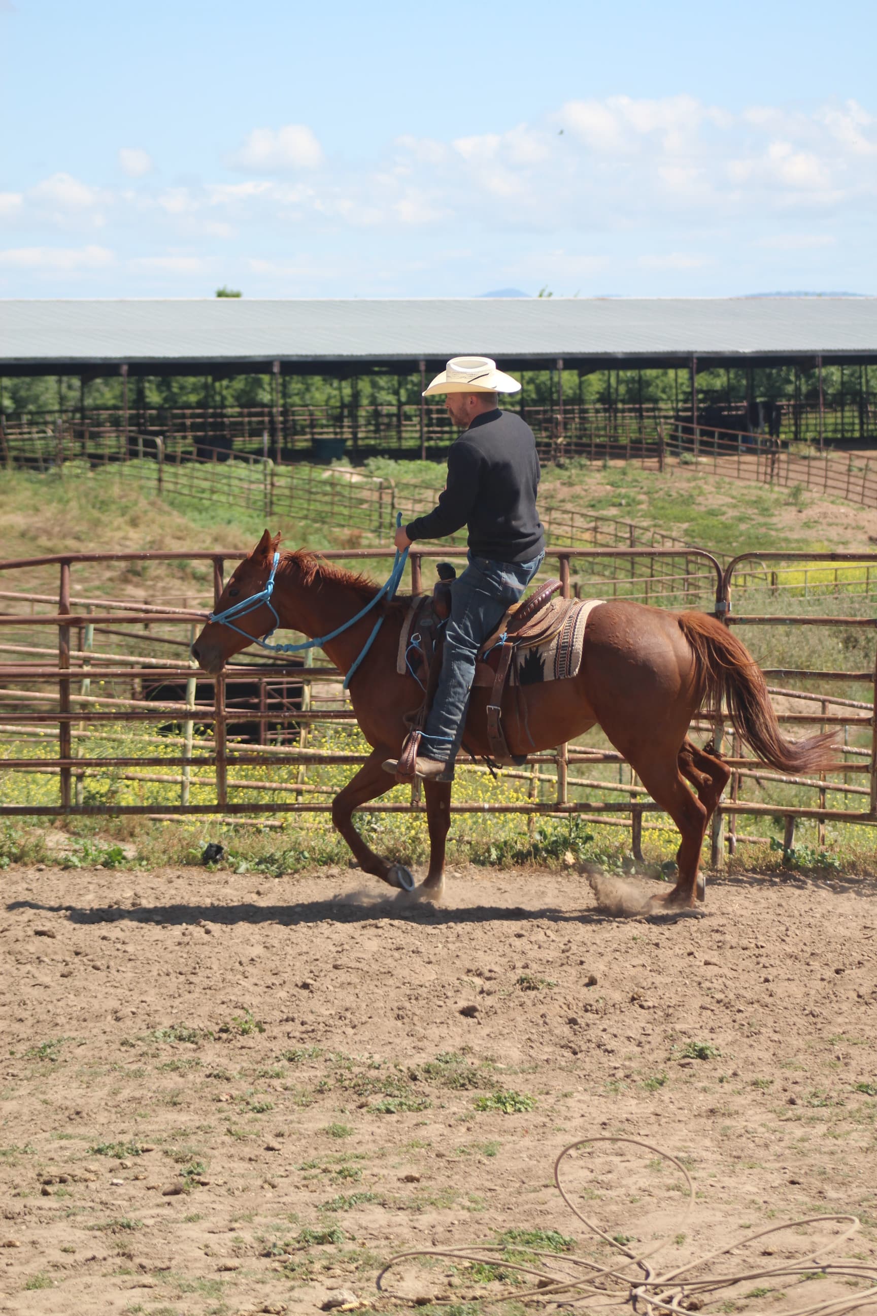 Equine work detail