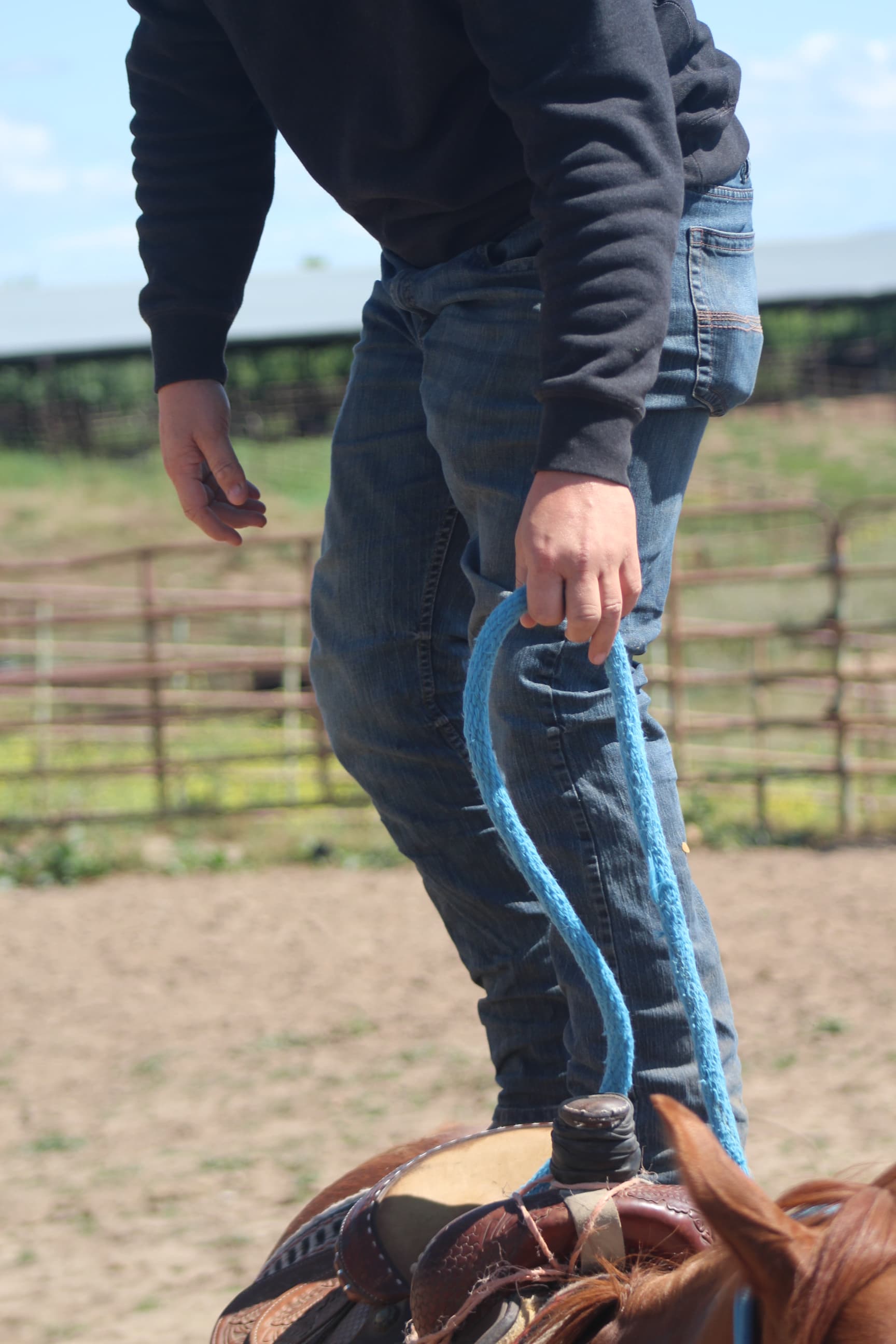 Equine work detail